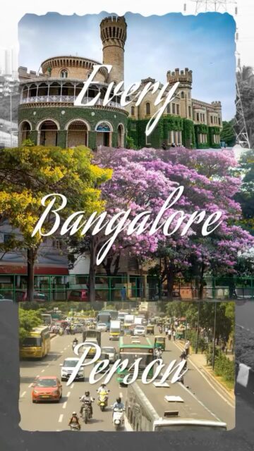 Looks like you’ve found your adda! 👀